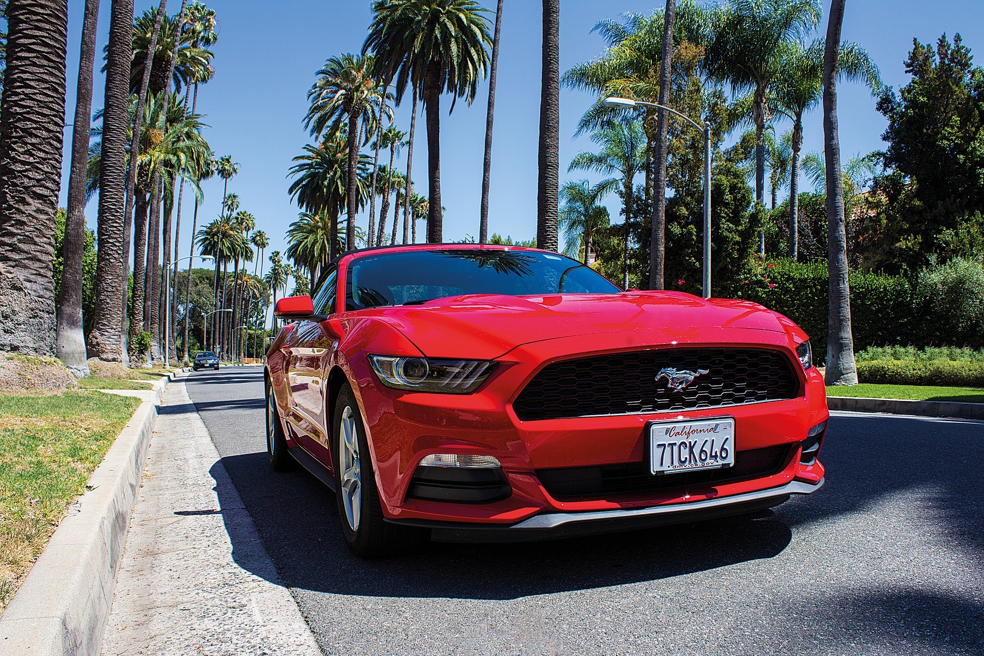 Mietwagen für Deinen USA Roadtrip Alle Tipps für Deine USA Reise