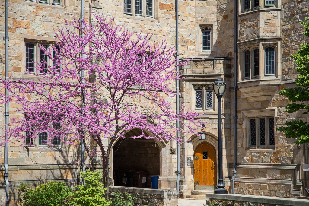 Roadtrip Neuengland Tag 4 Yale University Usa Unpauschal